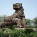 тигр в пекинском зоопарке