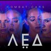 Группа Combat Cars представила клип на песню «Лед»