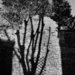 natura (2)