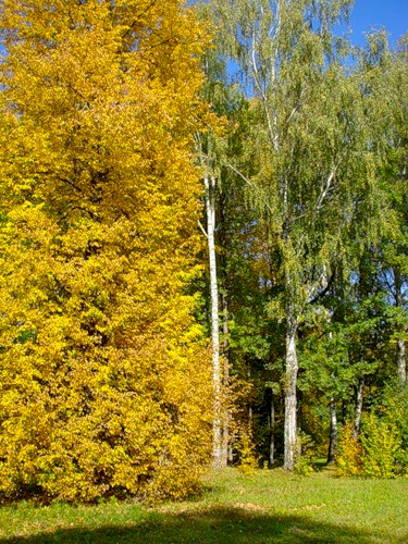 Красотень