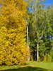 Красотень