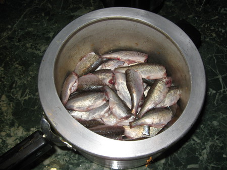 Как приготовить рыбу. Простые рецепты из своего опыта — фото 9