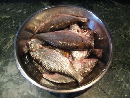 Как приготовить рыбу. Простые рецепты из своего опыта — фото 2