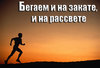 Автор: Igor