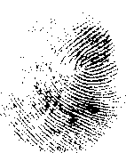 палнц