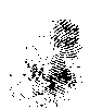 палнц