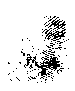 палнц