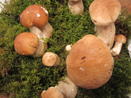 Маринованные белые грибы для гурманов — фото 1