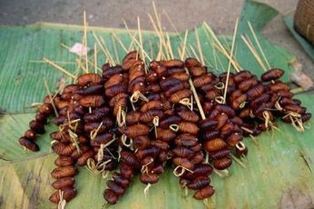 Личинки шелкопряда напоминают по вкусу крабовое или креветочное мясо