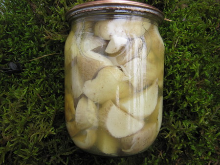 Маринованные белые грибы для гурманов — фото 8