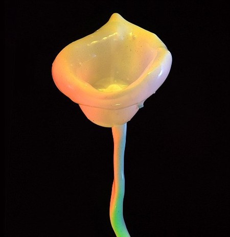 Цветы и сосуды: серия удивительных фотоснимков Джека Лонга — фото 5