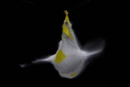 Лопающиеся воздушные шарики Эдварда Хорсфорда — фото 11