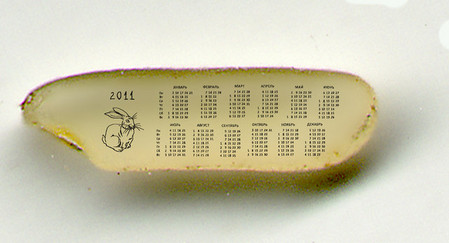 Календарь на рисовом зернышке