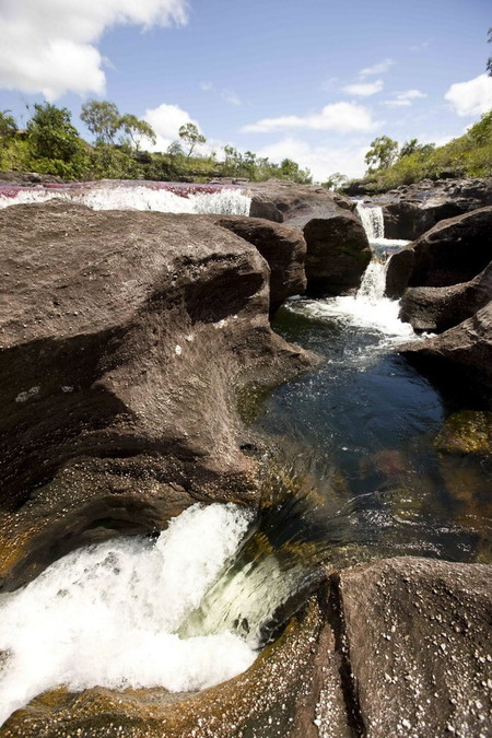 Каньо Кристалес - самая красивая река на планете — фото 21