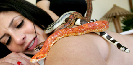 Змеиный массаж - удовольствие не для слабонервных — фото 15