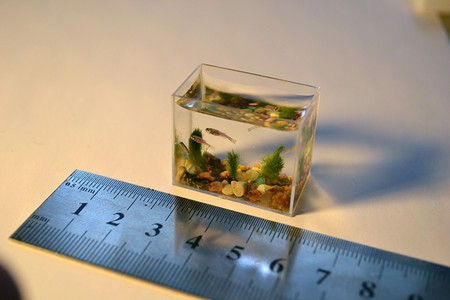 Самый маленький аквариум в мире - работа российского микроминиатюриста Анатолия Коненко — фото 1