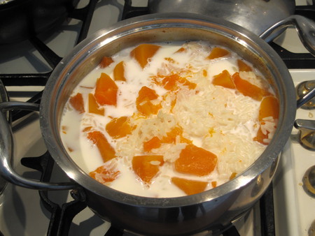 Рецепт диетического блюда: тыквенная каша с рисом и молоком — фото 6