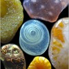 Песчинки под микроскопом. Уникальные макрофотографии Гэри Гринберга