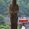 Пчелиная роба - необычные китайские соревнования