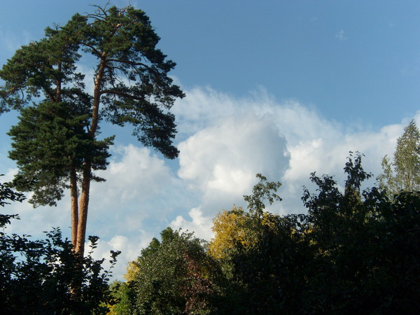 Краски осени