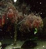 Автор: Надежда