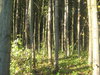 Автор: Людмила