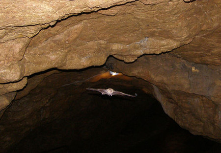 Путешествие в подземный мир. Спелеология для новичков. Преодоление сифонов в крымских пещерах — фото 48
