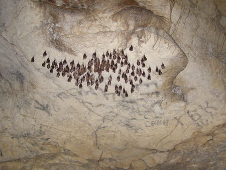 Путешествие в подземный мир. Спелеология для новичков. Преодоление сифонов в крымских пещерах — фото 43