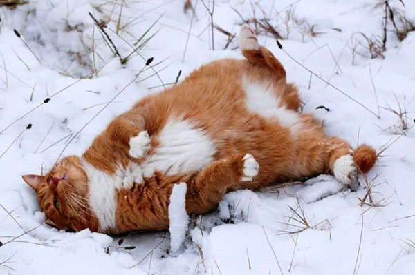 Пяяятница!