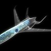Прозрачный самолет "Airbus Concept Plane"