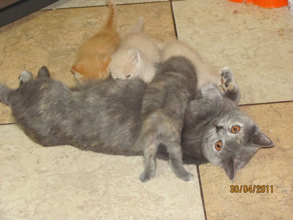 и это - радость материнства???