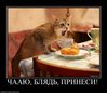 Автор: Евгений