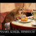 КОТЭ