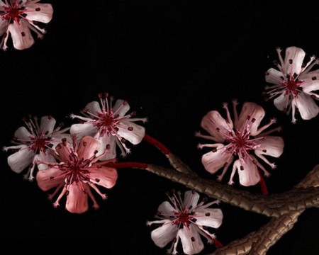 Сесилия Уэббер: Люди – это цветы! — фото 9