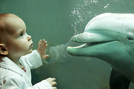 Дельфины и дети — фото 1