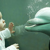 Дельфины и дети