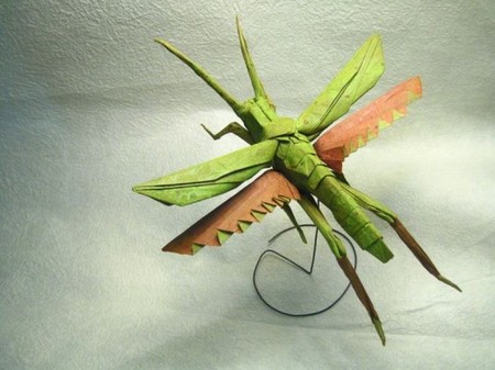 Брайан Чен – мастер самого реалистичного оригами — фото 12
