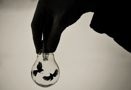 Волшебные лампочки на фотографиях Адриана Лимани — фото 27