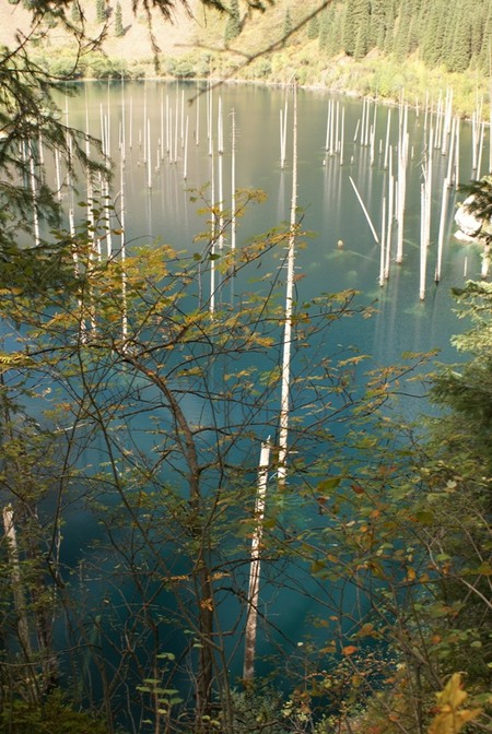 Волшебное озеро Каинды в Казахстане — фото 9