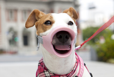 Клювы для собак – японское изобретение Quack Muzzle — фото 2