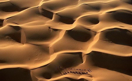 Мавритания, дюны, караван