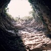 Экстрим и ласточки: пещера Sótano de las Golondrinas в Мексике