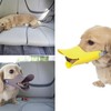 Клювы для собак – японское изобретение Quack Muzzle