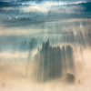 Туманные пейзажи на красивых снимках Богуслава Стремпеля