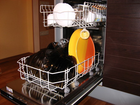 Посудомоечная машина - Золушка на кухне — фото 3