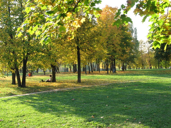 Желтая зелень