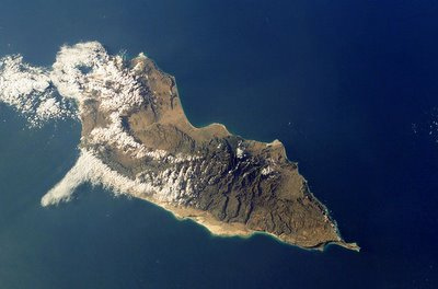 Остров Сокотра - затерянная жемчужина Индийского океана — фото 15