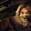 Необычная реклама зоопарков