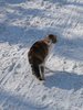 Вам кого?