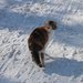 Вам кого?
